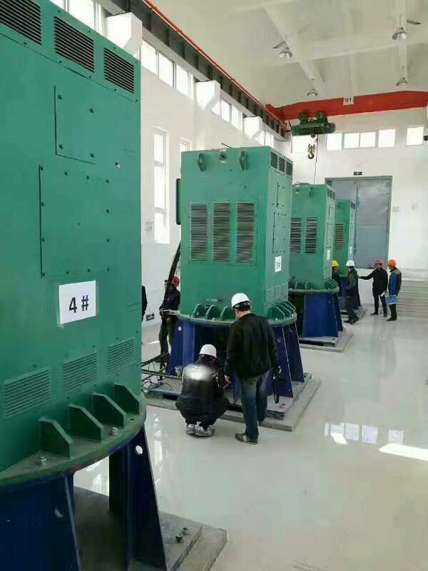 YKK5004-12-315KW某污水处理厂使用我厂的立式高压电机安装现场