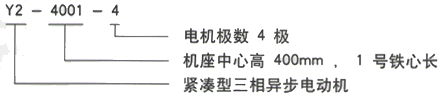 YR系列(H355-1000)高压YKK5004-12-315KW三相异步电机西安西玛电机型号说明